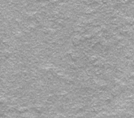 Ecoidea